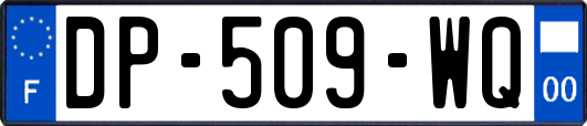 DP-509-WQ