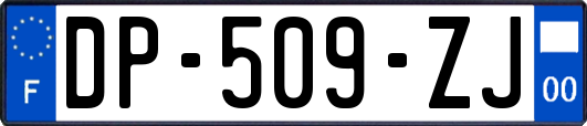 DP-509-ZJ