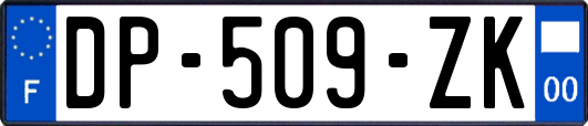 DP-509-ZK