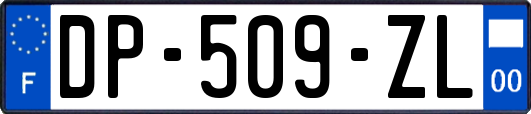 DP-509-ZL