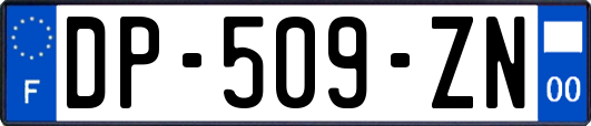 DP-509-ZN