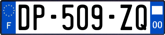 DP-509-ZQ