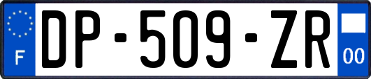 DP-509-ZR