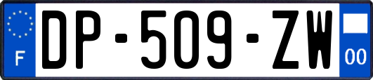 DP-509-ZW