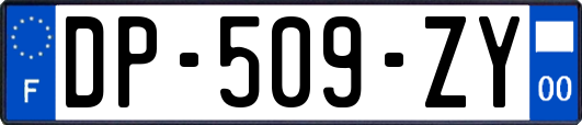 DP-509-ZY