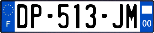 DP-513-JM