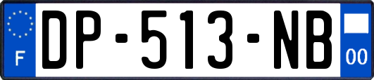 DP-513-NB