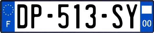 DP-513-SY