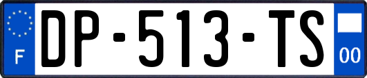 DP-513-TS