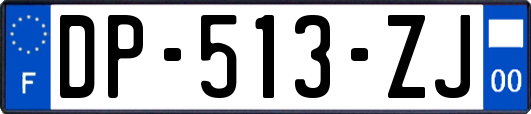 DP-513-ZJ