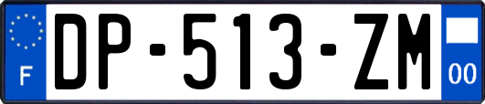 DP-513-ZM