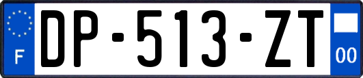 DP-513-ZT