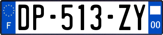 DP-513-ZY