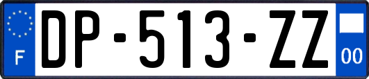 DP-513-ZZ