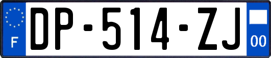 DP-514-ZJ