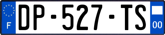 DP-527-TS