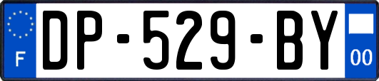 DP-529-BY