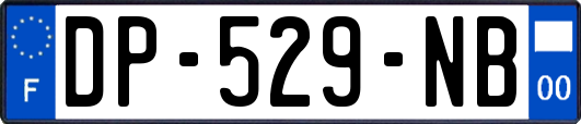 DP-529-NB