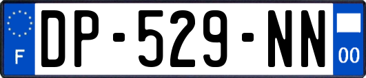 DP-529-NN