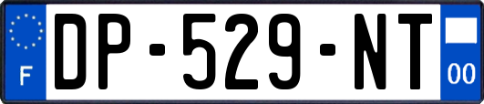 DP-529-NT