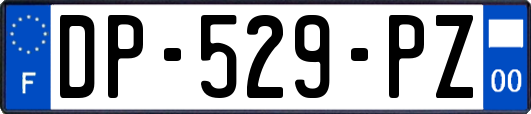 DP-529-PZ