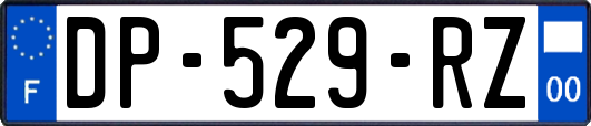 DP-529-RZ