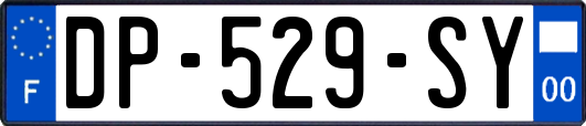 DP-529-SY