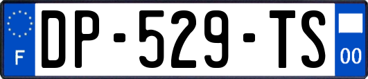 DP-529-TS