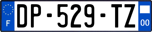 DP-529-TZ