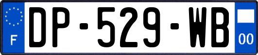 DP-529-WB