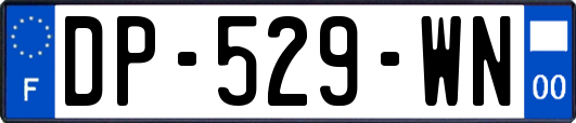 DP-529-WN