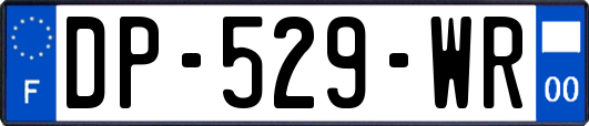 DP-529-WR