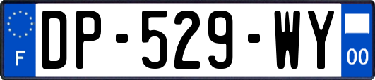 DP-529-WY