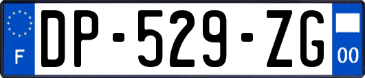 DP-529-ZG