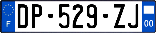 DP-529-ZJ