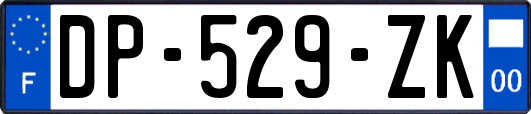 DP-529-ZK