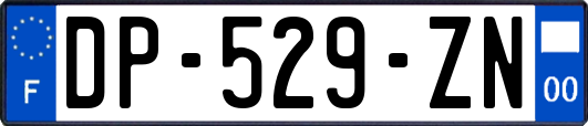 DP-529-ZN