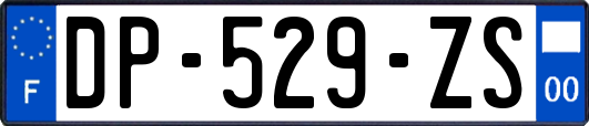 DP-529-ZS