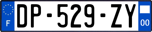 DP-529-ZY