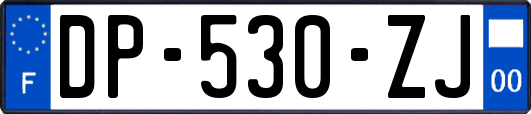 DP-530-ZJ