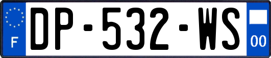 DP-532-WS