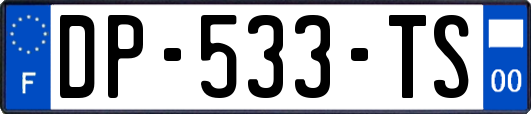 DP-533-TS