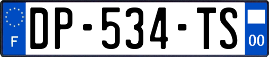 DP-534-TS