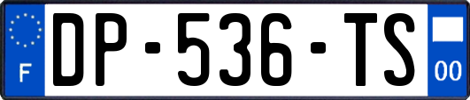 DP-536-TS