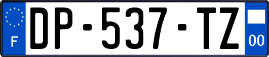 DP-537-TZ