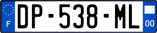 DP-538-ML