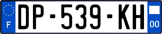 DP-539-KH