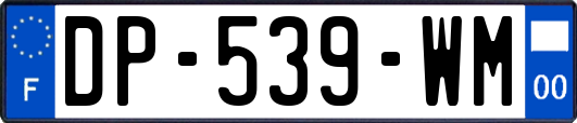 DP-539-WM