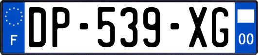 DP-539-XG