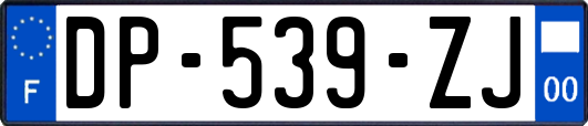 DP-539-ZJ